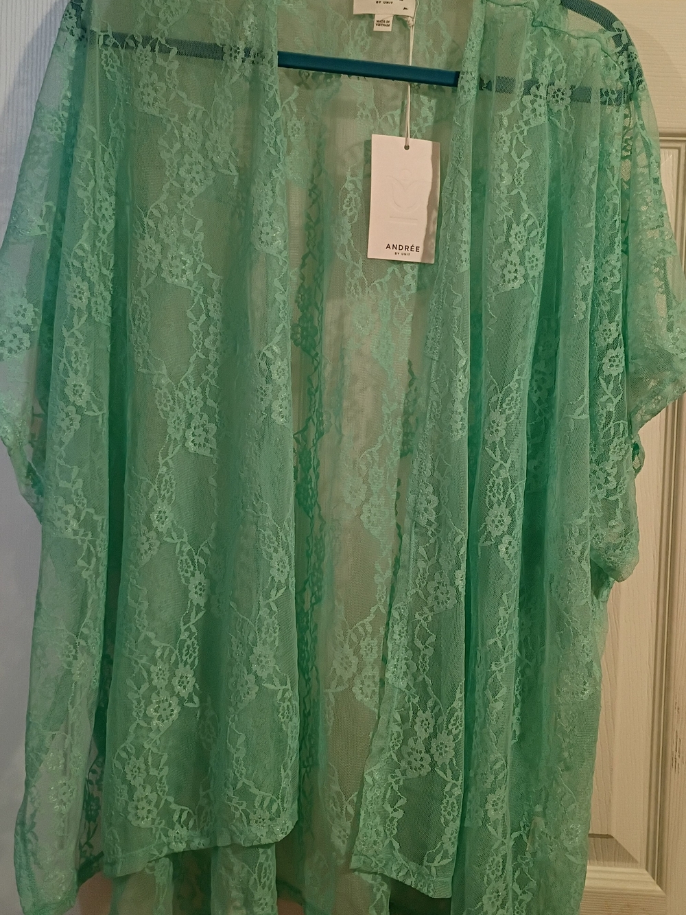 ANDRÉE BY UNIT Mint Lace Sheer Kimono